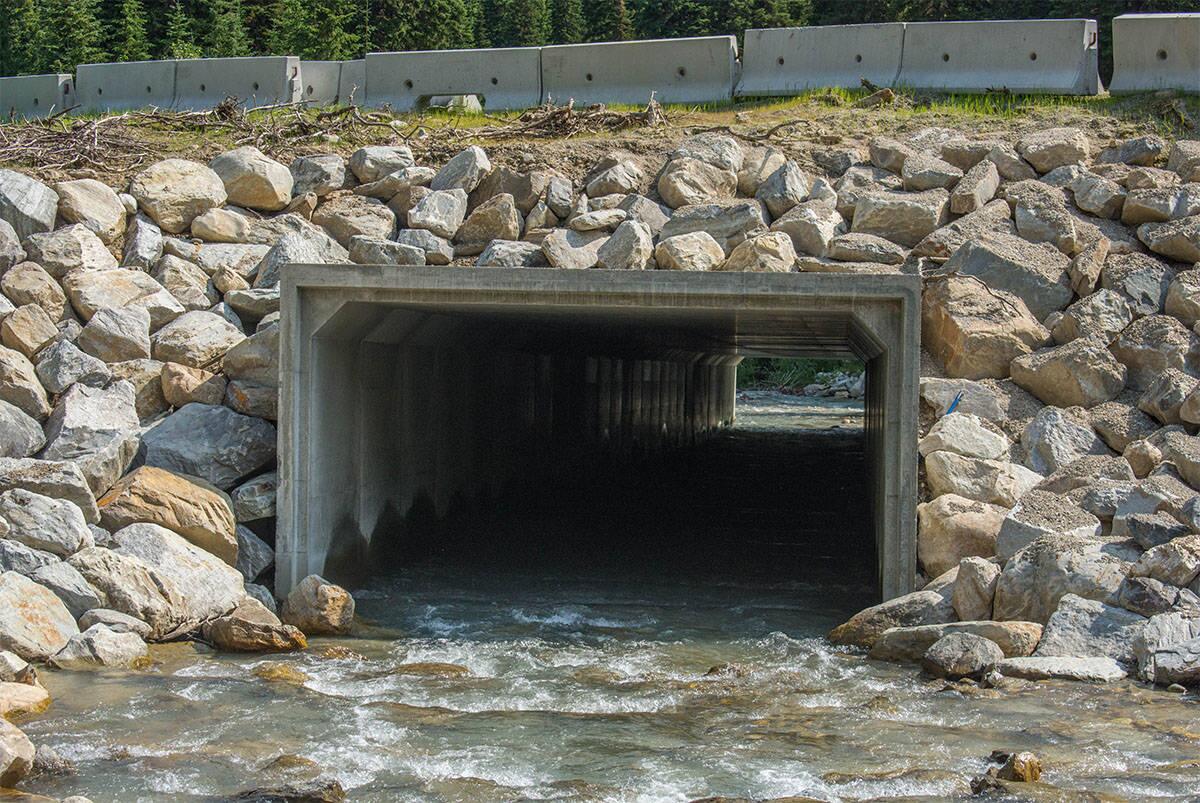 Box culvert