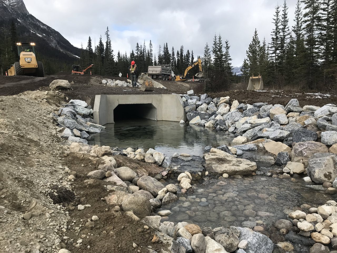 Box culvert headwall